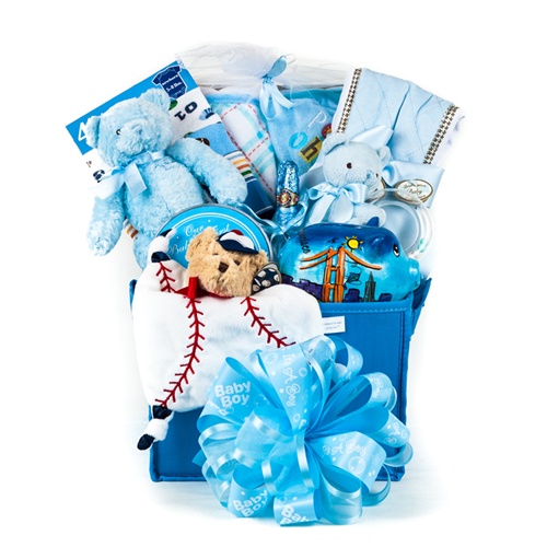 Baby Boy Treasure Gift Basket