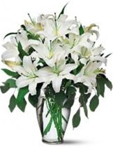 White Lily